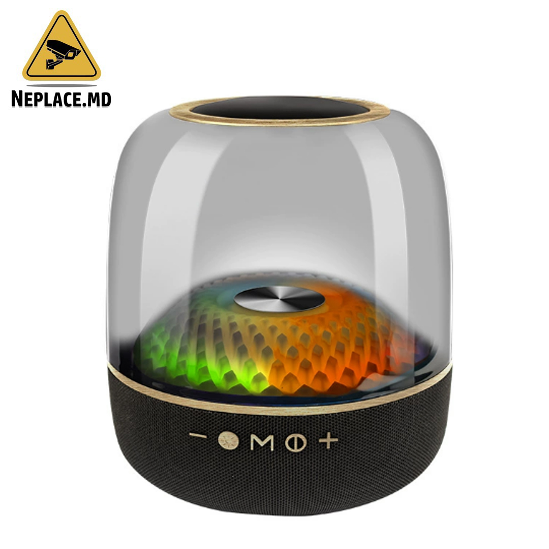 Boxa Portabila 20W LED - Cumpără online | NePlace Moldova